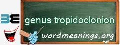 WordMeaning blackboard for genus tropidoclonion